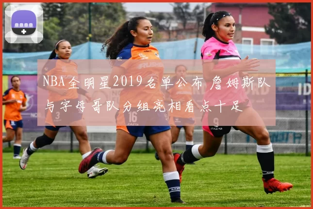 NBA全明星2019名单公布 詹姆斯队与字母哥队分组亮相看点十足