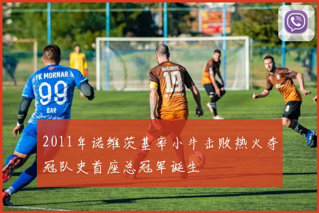 2011年诺维茨基率小牛击败热火夺冠队史首座总冠军诞生